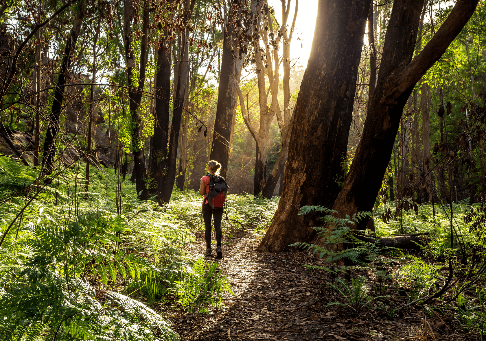 The link between climate change and wellbeing - Black Dog Institute ...